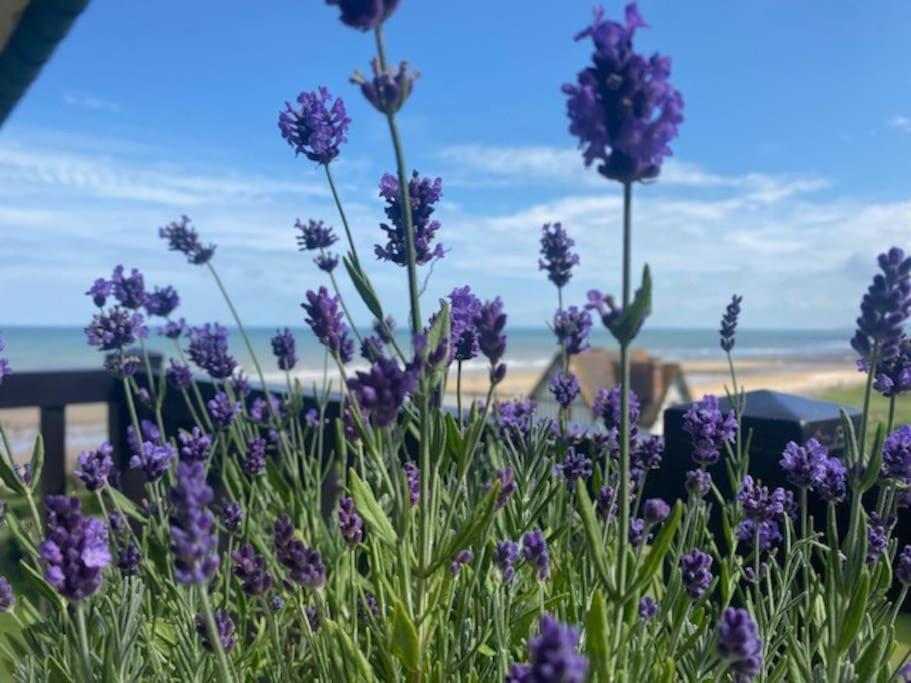 Sur La Plage / Enjoy The Beach Apartman Cabourg Kültér fotó